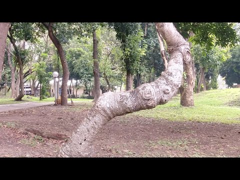 Peaceful, Quiet, And Relaxing Place | Nice Evening Guys | Glenny is live!