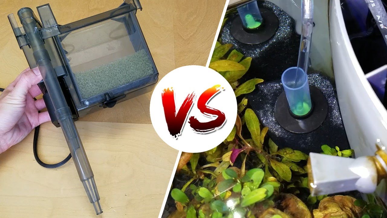 Hang-on-Back vs Sponge Filter – Which is Better