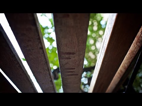 Getting All the Angles: Two Minute Tips with David Bergman