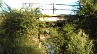 preview picture of video 'El arroyo perdido de La Florida. (San Fernando del Valle)'