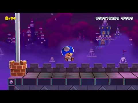 Super Mario Maker 2 - The 3D World Athletic Test