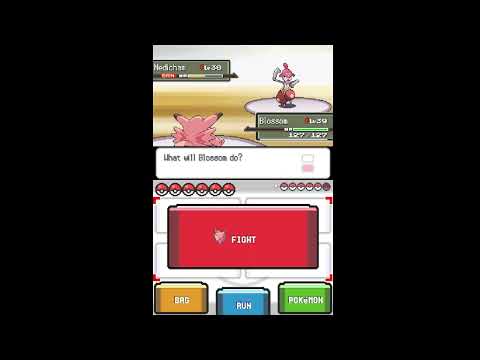Pokemon Renegade Platinum - What my "Plan" for Maylene was