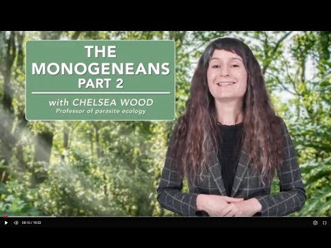 The monogeneans - Part 2