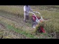 PADDY REAPER YAP 120 YANMAR