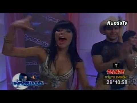 Tigrillos - El Casique Mocorongo