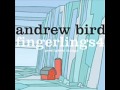 Andrew Bird, "The Sifters" (new song) 