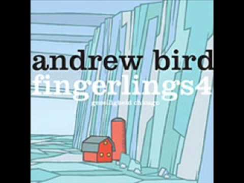 Andrew Bird, 
