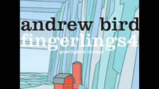 Andrew Bird, 