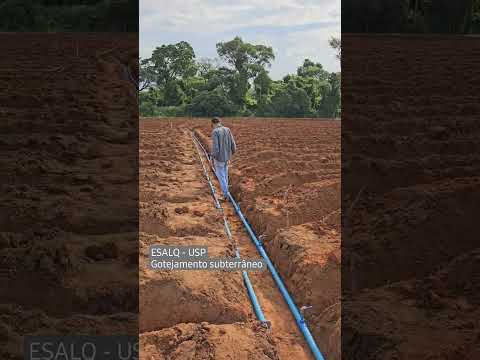 Instalação de sistema de irrigação por gotejamento subterrâneo para cultura da cana
