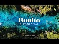 BONITO MS e PANTANAL - Mato Grosso do Sul - Roteiro incrível
