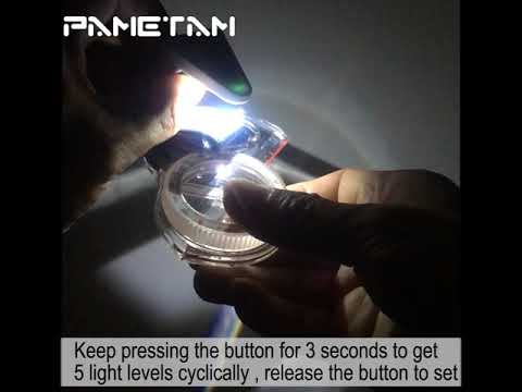 PAMETAM orienteering map light /PMT-62