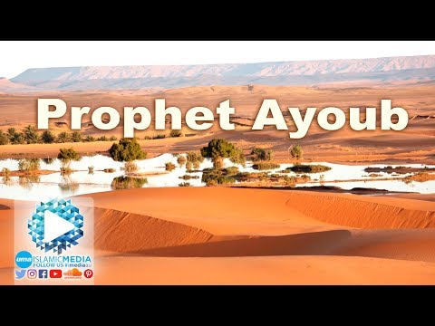 The Story of the Prophet Ayoub AS by Sheikh Shady Alsuleiman