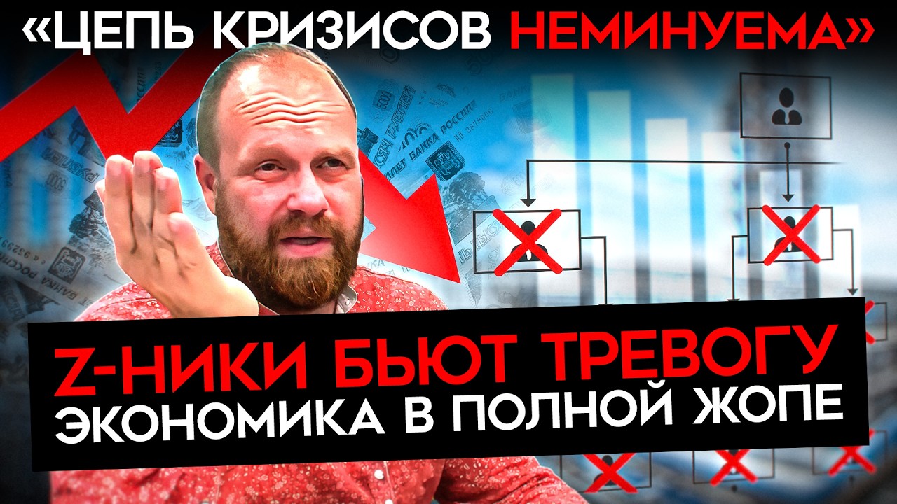 «ПРЕДПРИЯТИЯ ЗАКРЫВАЮТСЯ», «СТРОЙКА ВСТАЛА», «ДЕНЕГ НЕТ». Z-экономисты: криз?
