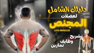 دليلك الشامل لعضلات المجنص | ✨👌Lats Muscles