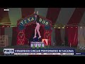 Venardos Circus Performing In Tacoma For The Next Few Weeks Part 2 FOX 13 Seattle