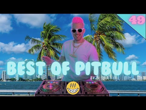 Best Of Pitbull Mix 2023 | #49 | Pitbull | The Best of Pitbull 2023 by DJ WZRD