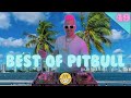 Best Of Pitbull Mix 2023 49 Pitbull The Best Of Pitbull 2023 By DJ WZRD