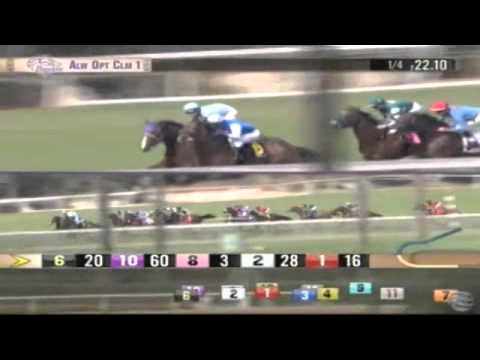 31.10.2014 Santa Anita Park (USA) 1.Race Allowace Optional Claiming - 1.307 m