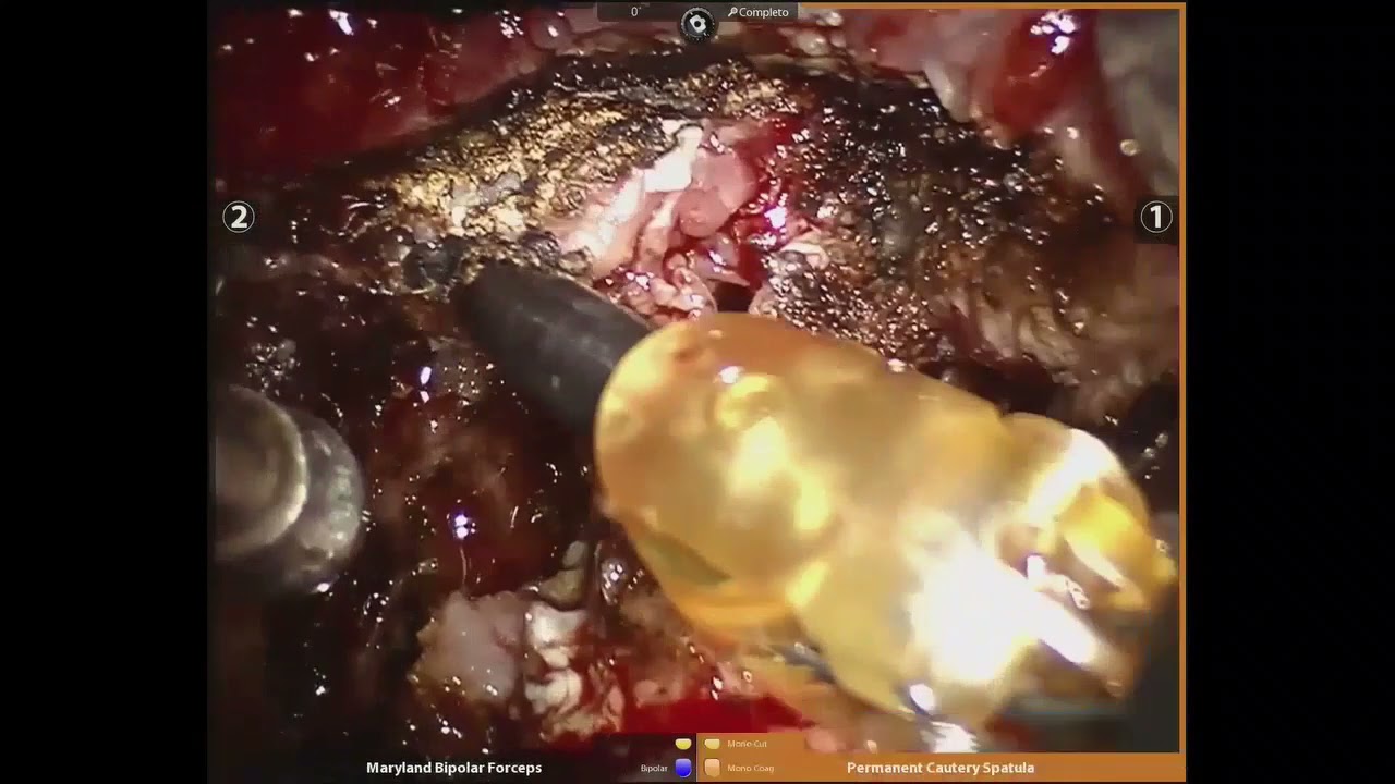 Adriano Santana Fonseca-7