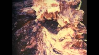 Benoit Pioulard - Hawkeye