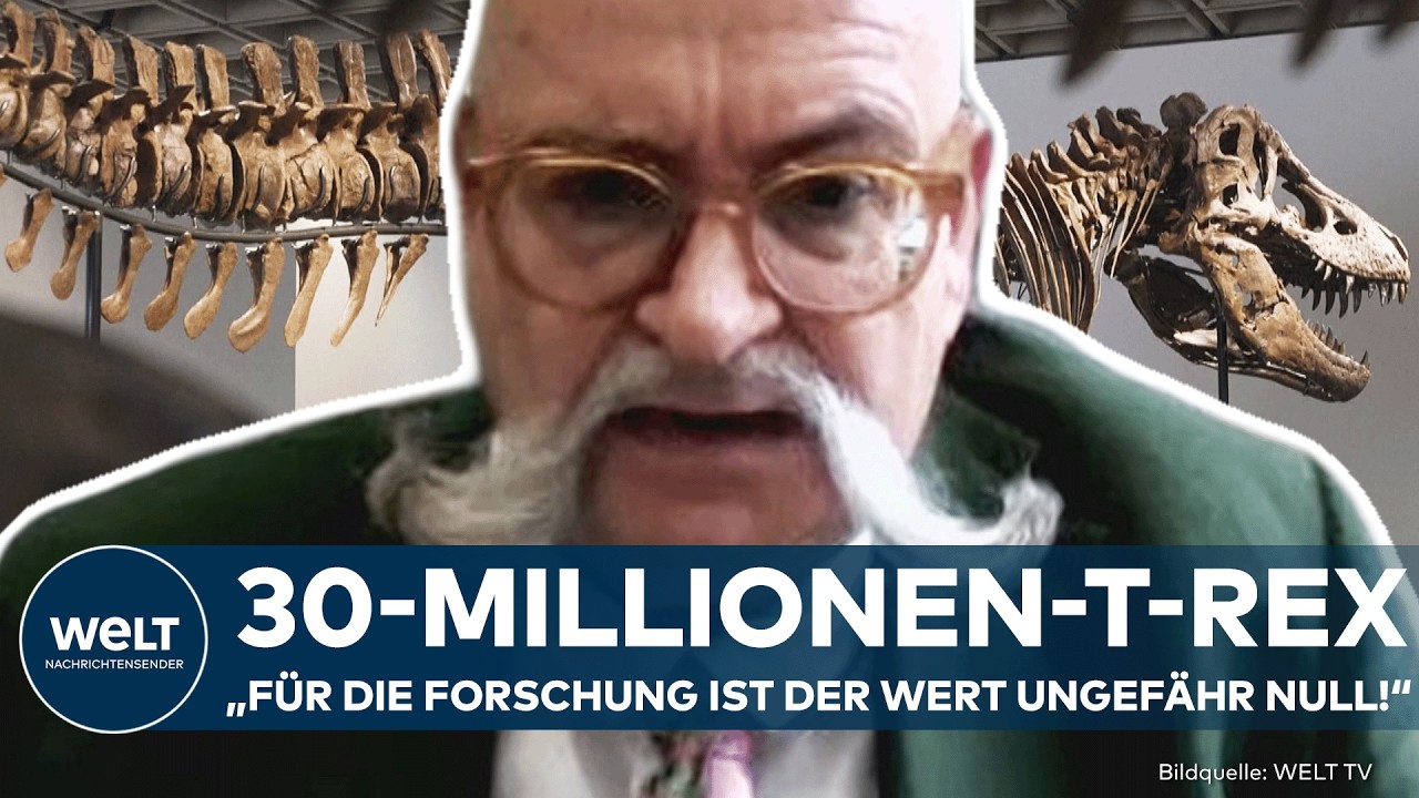 T-REX-AUKTION: "Für die Forschung ist der Wert ungefähr null!" Experte übt scharfe Kritik!