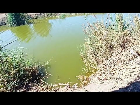 How to choose the right place for fishing 🐟طريقة اختيار الدور الصح