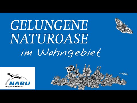Naturgarten mit enormer Vielfalt