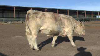 Código p026c - pasos para reparar el error