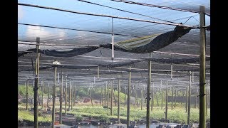 Vídeo sobre o produto Vídeo sobre o produto
