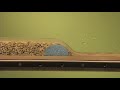 River Geomorphology (40) - Low head dam installation effects on coarse sediment transport...