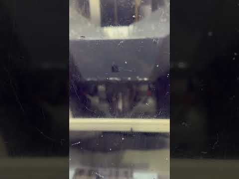 2015 BROTHER SPEEDIO R450X1 Vertical Machining Centers | GMT (1)