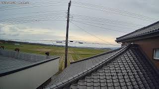 山形県酒田市下安町ライブカメラ live webcam