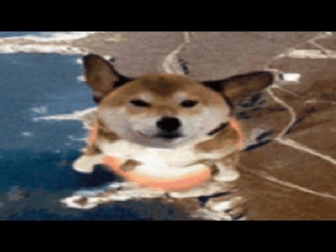 1 Minute of Flying Dogs