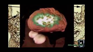 Vril lizards True story infecting the elite controlling powers. ￼