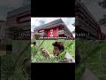 OYO Kya Hota Ha Viral Memes Funny Single Oyo Shorts