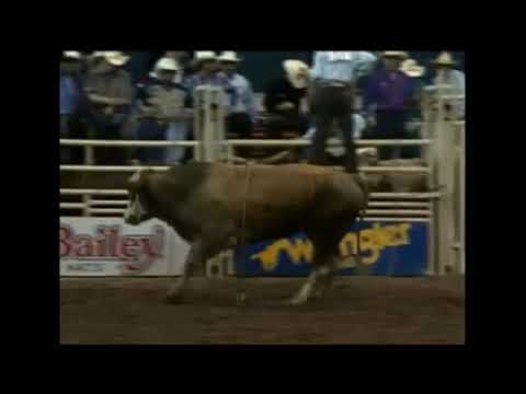Wayde Joyal vs Shazam - 94 PBR Nashville (81 pts)
