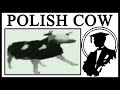 Why Dancing Polish Cow Is Great