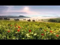 Loreena McKennitt - La Serenissima