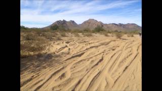 The Moaners Too Many People