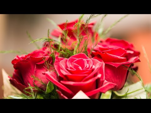 Deep sleep music, Relaxing music, calm music