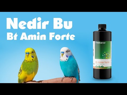 Bt Amin Forte Ne İşe Yarar ? Bt Amin Forte Nedir ? B Vitamini ! #muhabbet
