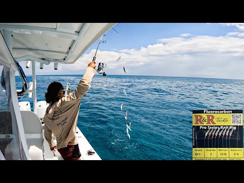 How to catch LIVE BAIT like a PRO!!