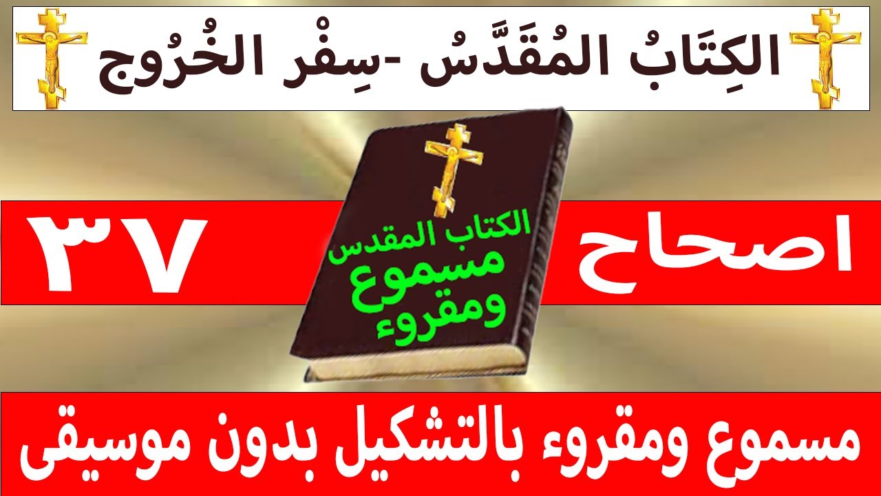 فيديو تفسير الكتاب المقدس | الكتاب المقدس رفيقي