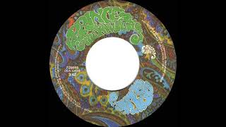 1985 Pop Life - Prince &amp; The Revolution (stereo 45)
