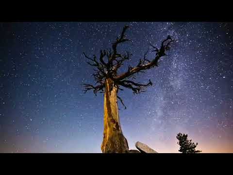 Yair Albeg Wein-"Chasing Inspiration"