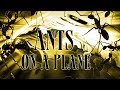 Ants on a Plane - Full Movie Ants on a Plane - Full Movie