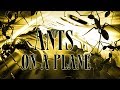 Ants on a Plane - Full Movie