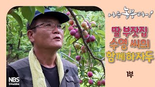 [나는농부다 311회 1부] 딸 부잣집 수영 씨의 함께하자두