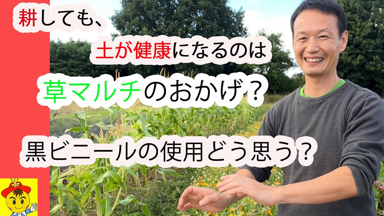 耕しても土は豊かに!自然栽培の新常識