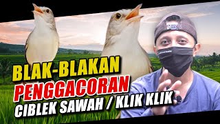 Download lagu CARA MENGGACORKAN BURUNG PRENJAK SAWAH ATAU KLIK K... mp3